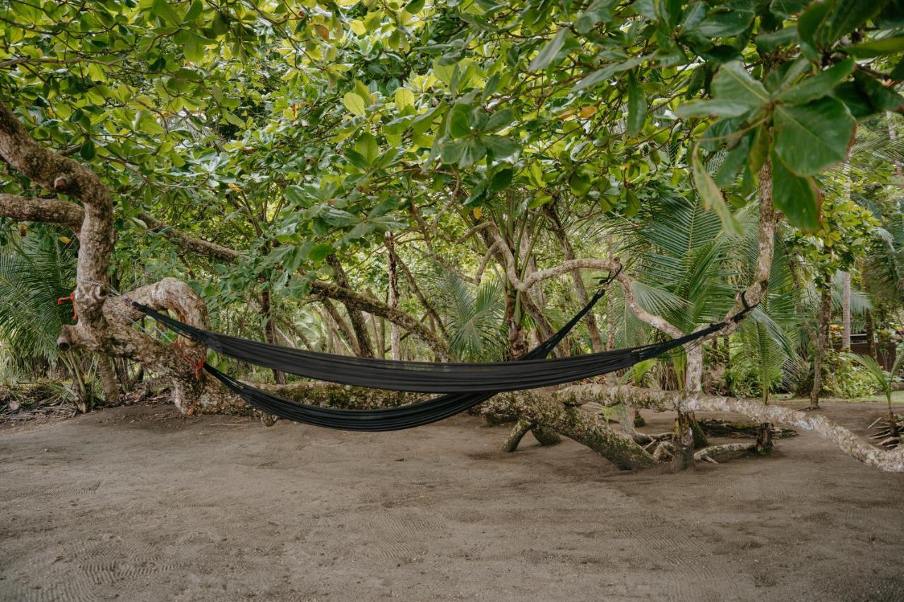 Dreamy Contentment Matapalo  Ngoại thất bức ảnh