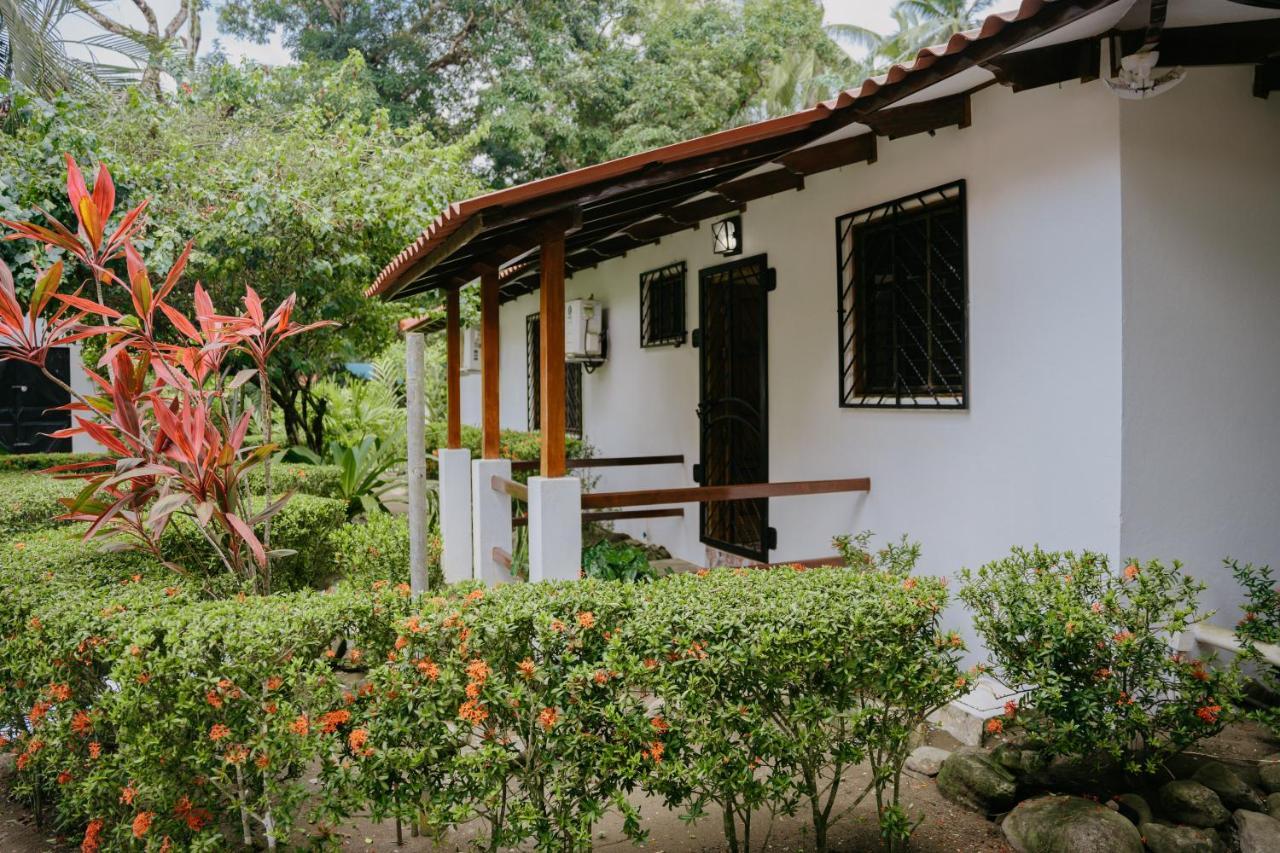 Dreamy Contentment Matapalo  Ngoại thất bức ảnh