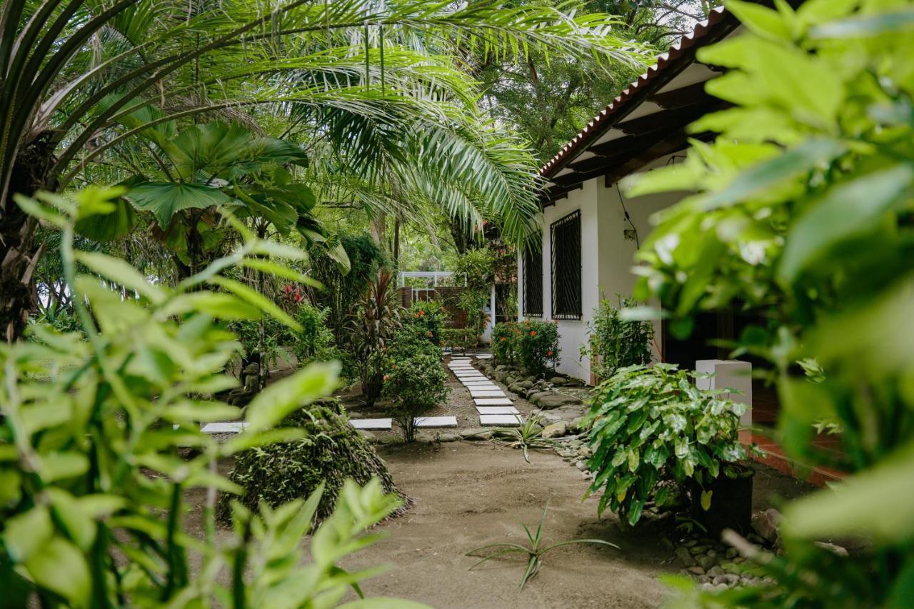 Dreamy Contentment Matapalo  Ngoại thất bức ảnh